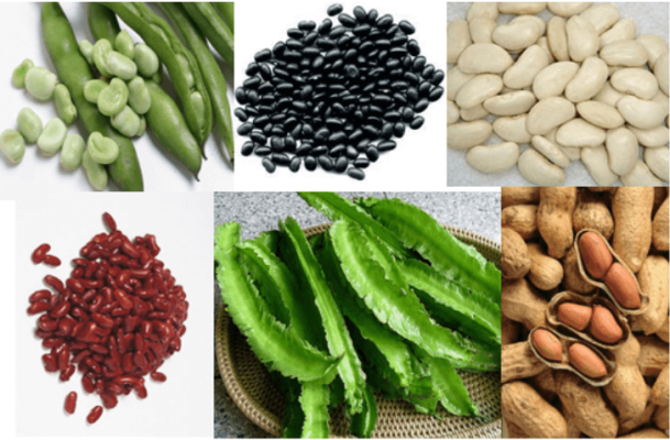 mot so loai thuc pham tre thieu men g6pd