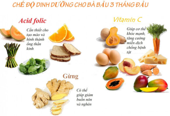 thực phẩm tốt cho bà bầu trong 3 tháng đầu