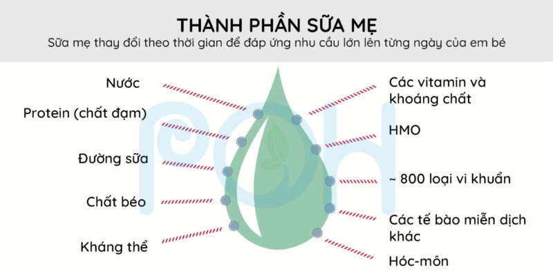 Vì sao sữa mẹ là "siêu thực phẩm" số 1 cho bé? 2 lợi ích của sữa mẹ