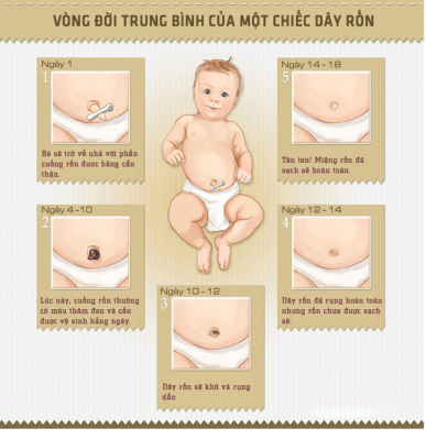10 ngày đầu đời, mẹ cần biết cách vệ sinh rốn cho bé 4 vệ sinh rốn cho bé