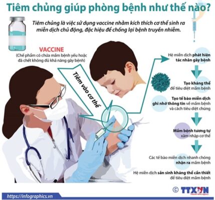 24h sau khi tiêm chủng cho bé: Cha mẹ cần làm gì? 5 tiêm chủng cho bé