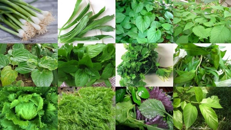 Thực phẩm tốt cho bà bầu trong 3 tháng đầu: Bổ sung dinh dưỡng, mẹ khỏe con thông minh 2 thực phẩm tốt cho bà bầu trong 3 tháng đầu